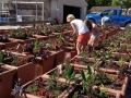 photo-3