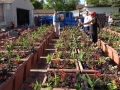 photo-4