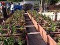 photo-5