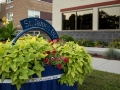 StJamesBIZ-2015_D-planter