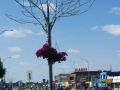 street3